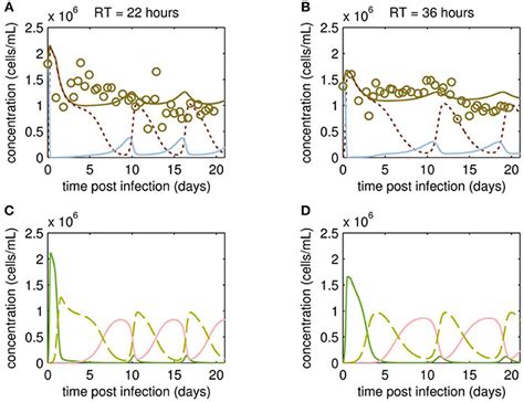 Frontiers Production Of Defective Interfering Particles Of Influenza A Virus In Parallel
