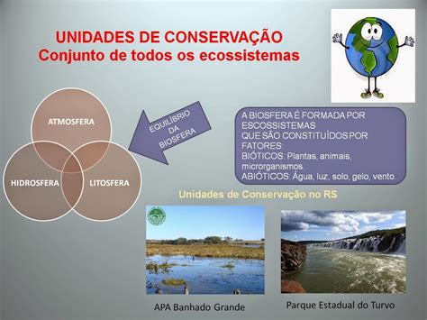 Mapa Mental Unidades De Conservação