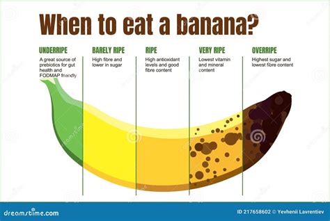 When To Eat A Banana Banana Ripeness Table Stock Vector Illustration
