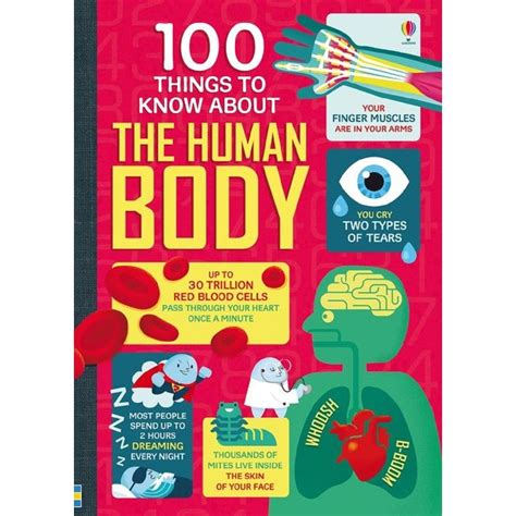 100 Things To Know About The Human Body Big W