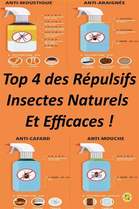 Repousser Les Insectes Avec 4 Répulsifs Naturels Et Efficaces Anti