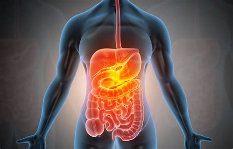 identifying and tackling different digestive disorders