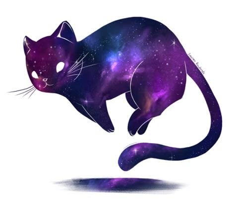 Galaxy Cat Tumblr