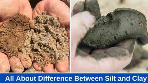 11 Difference Between Silt And Clay Civil Scoops