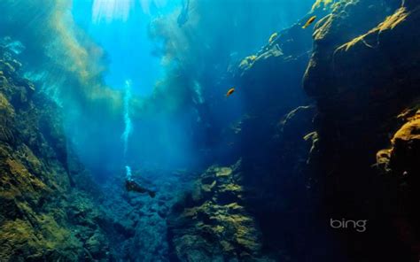 Free Download Underwater View Of Lagoa Misteriosa Mysterious Lagoon In