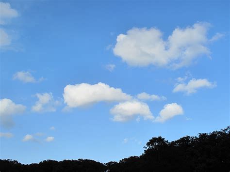 Clouds Free Stock Photo Image Picture Sunny Sky Cloudscape Royalty