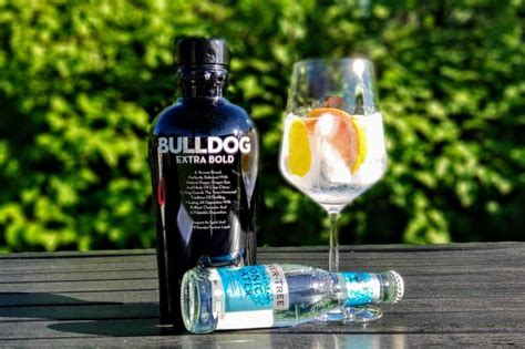 Gin Og Tonic Med Bulldog Extra Bold London Dry Gin Alt Om Gin