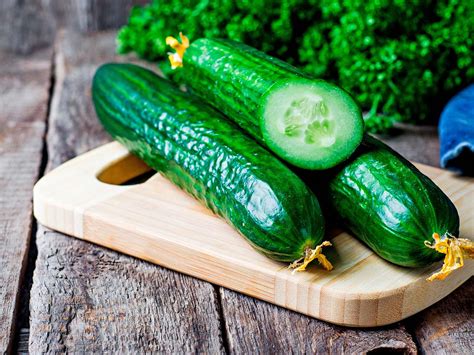 How To Grow Cucumbers In Australia In 4 Easy Steps
