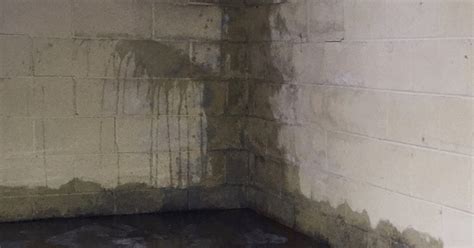 9 Easy Steps To Finish A Damp Basement And Why Waterproofing Comes