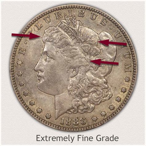 Morgan Silver Dollar Values Discover Their Worth