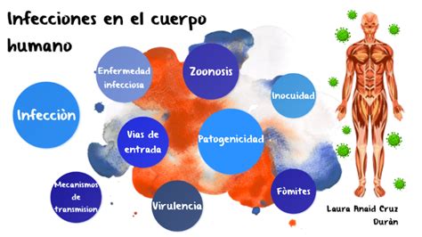 Infecciones En El Cuerpo Humano By Anaid Cruz Duran