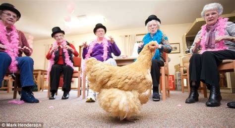 Meet The Hensioners The OAPs Being Given CHICKENS To Keep Them