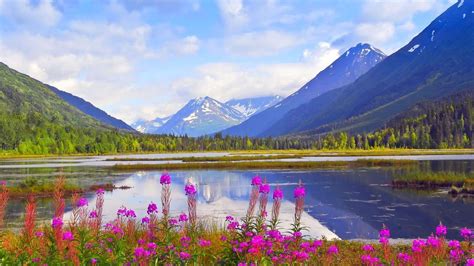 Alaska Landscape Wallpapers 4k Hd Alaska Landscape Backgrounds On