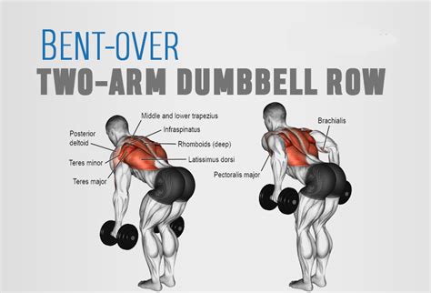 Barbell Bent Over Rows Fitness Lifestyle