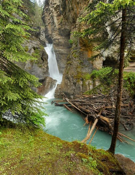 Waterfall In Johnston Canyon Stock Image Image Of National Green
