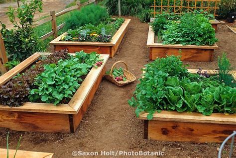 Raised Bed Vegetable Garden I Like That There Is A