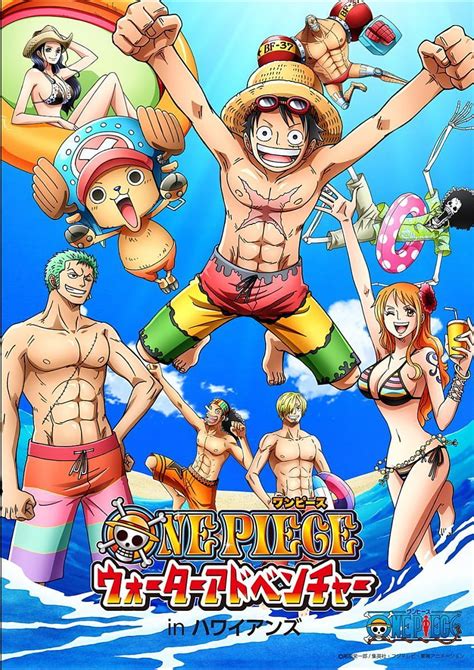 One Piece Ideas One Piece Summer Hd Phone Wallpaper Pxfuel