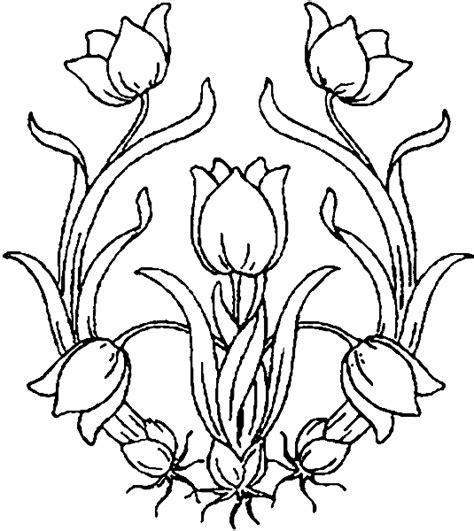 Vielleicht bist du auch an weiteren. Malvorlagen Blumen Pflanzen