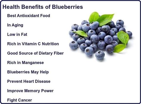 Health Benefits Of Blueberries Steadyrun Health Benefits Of