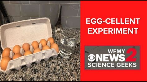 Science Geeks An Egg Cellent Density Experiment