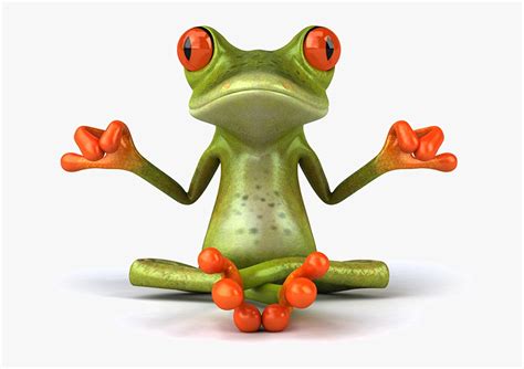 Zen Frog Hd Png Download Kindpng