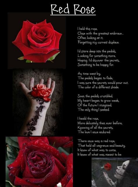 Red Rose Poems And Quotes Quotesgram Roses Are Red Poems Rose Poems