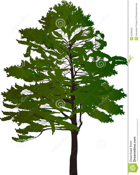 Isolated black green tree stock vector. Illustration of object - 50780222