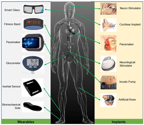 Energies Free Full Text Energy Harvesting In Implantable And