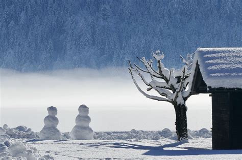 Winter Schnee Kalt Kostenloses Foto Auf Pixabay