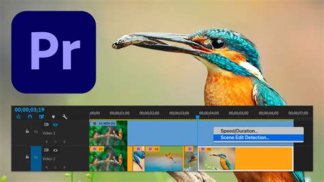 Adobe Premiere Pro Version 144 Update Scene Detection And New