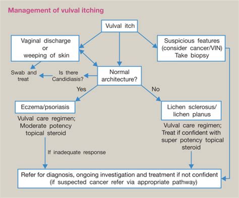 Skin Diseases Affecting The Vulva Obstetrics Gynaecology And