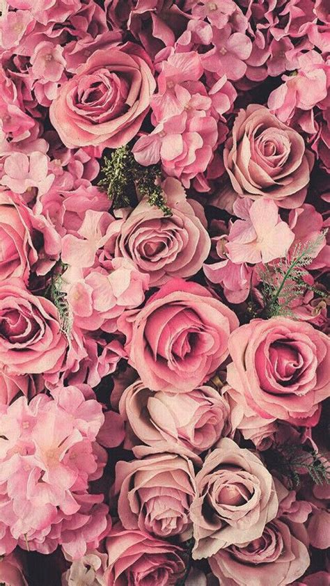 Check spelling or type a new query. Pink | Pastel | Rosé | Salmon | Peach | Blush | Pinku ...