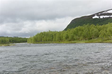 We take you trekking, birdwatching. Schweden - Ammarnäs