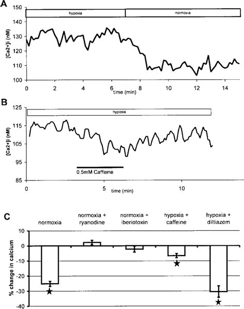 Intracellular Calcium Concentration Ca 2 I Decreases With Increase