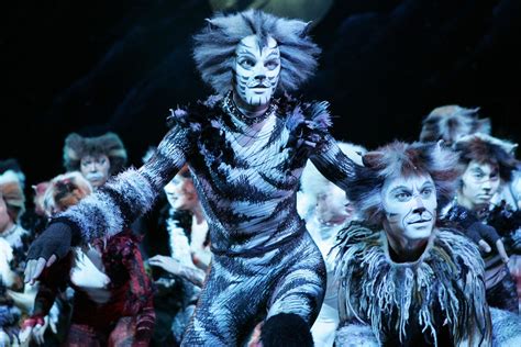 We did not find results for: Musical 'Cats' ganhará adaptação para o cinema | XV Curitiba