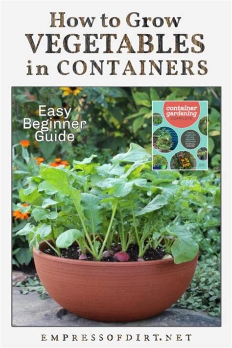 How To Grow Vegetables In Containers From Spring To Fall