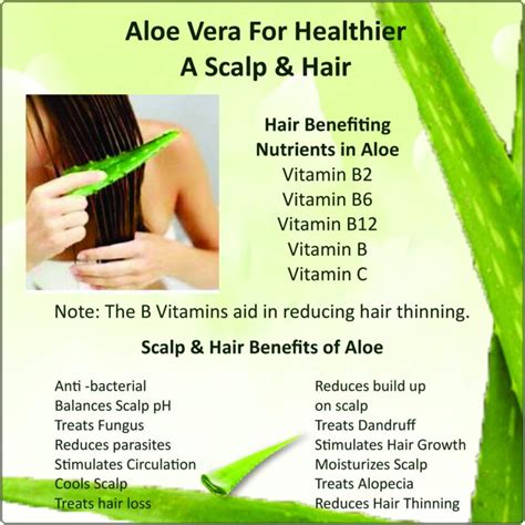 Aloe Vera Reviews Benefits Use And Side Effects Read More