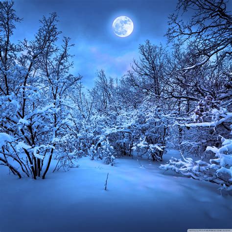 月夜の雪の森 Ipadタブレット壁紙ギャラリー