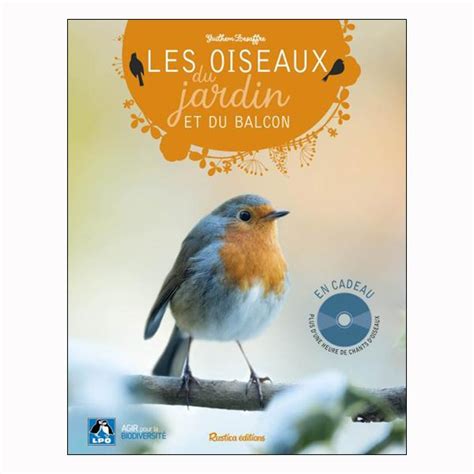 Les Oiseaux Du Jardin Et Du Balcon Terre And Nature
