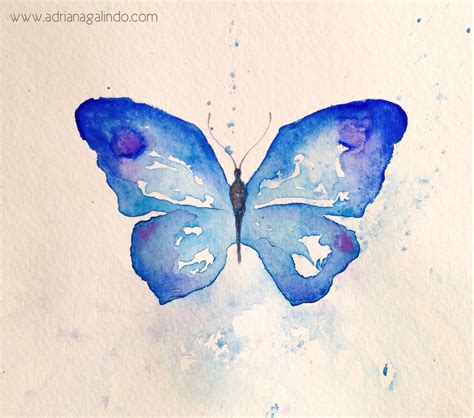 Copyright By Adriana Galindo Borboleta Azul Blue Butterfly By Adriana Galindo Aquarela