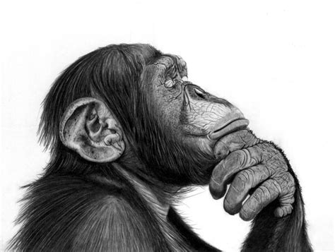 The Thinker Drawing By Paul Stowe Saatchi Art