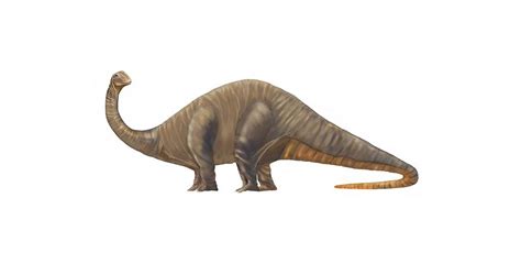 However, it is by far no means just a lumbering behemoth. Dinosaur Apatosaurus Or Brachiosaurus Digital Art by Deb ...
