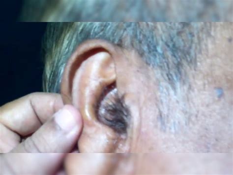 Samudrik Shastra What Does Hair On Ear Indicates जिनके कान पर होते