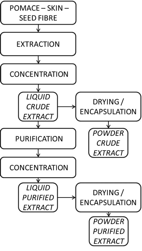 Scheme Of The Basic Process For The Production Of Extracts From Grape
