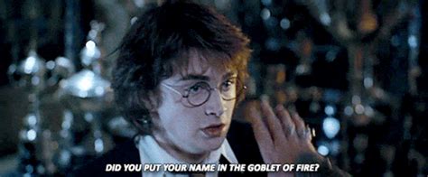 Did You Put Your Name In The Goblet Of Fire Harry He Asked Calmly