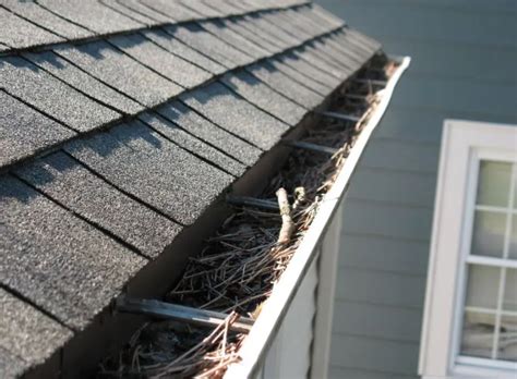 5 Signs You Have Blocked Gutters And How To Avoid Them Gutterline