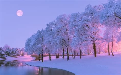 Wallpaper Beautiful Winter Snow Trees River Moon Dusk 2560x1600 Hd Picture Image