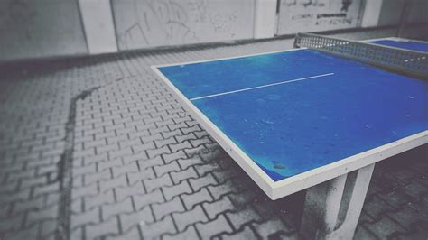 Outdoor Tischtennisplatte Test Vergleich Der Besten Platten