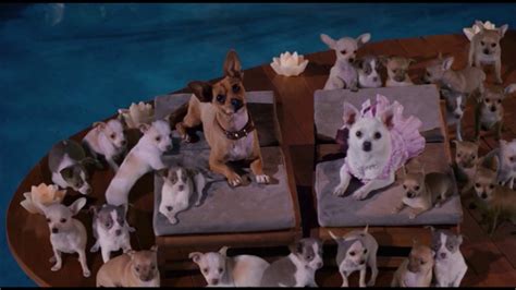 Beverly Hills Chihuahua End Credits Disney Channel Usa Version Youtube