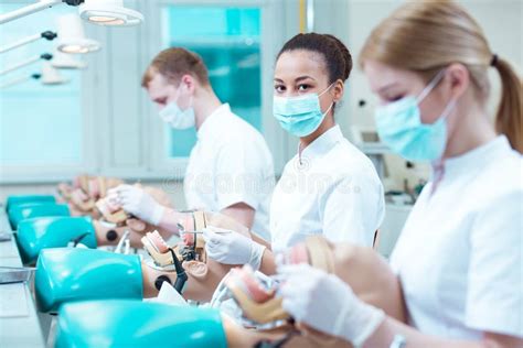 Practice Makes Perfect Dentist Stock Image Image Of Dental Medical